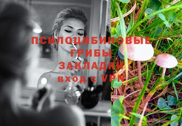 не бодяженный Арсеньев
