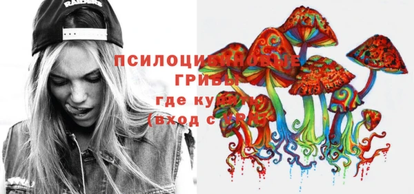 не бодяженный Арсеньев