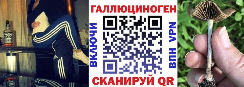 даркнет сайт  Баксан  Псилоцибиновые грибы мухоморы 